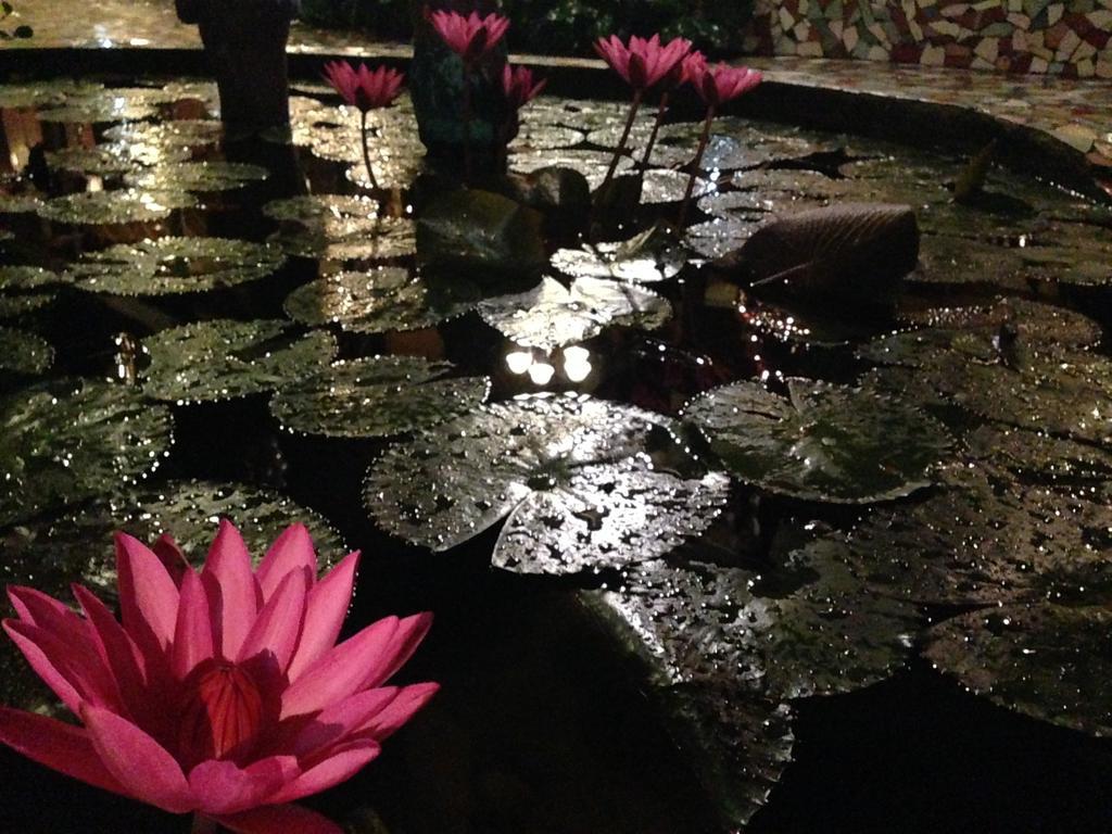 Bed and Breakfast The Lotus Garden Puerto Princesa Exterior foto