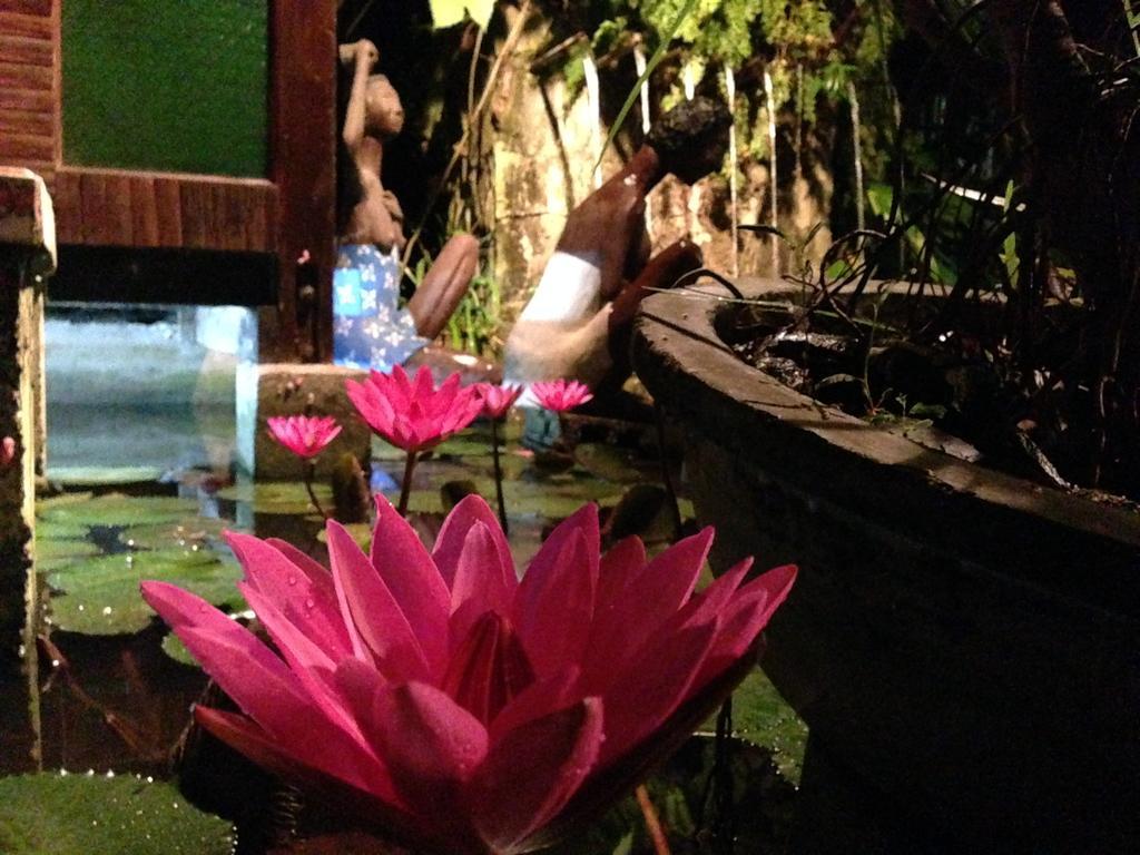 Bed and Breakfast The Lotus Garden Puerto Princesa Exterior foto