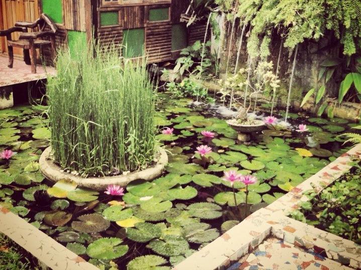 Bed and Breakfast The Lotus Garden Puerto Princesa Exterior foto